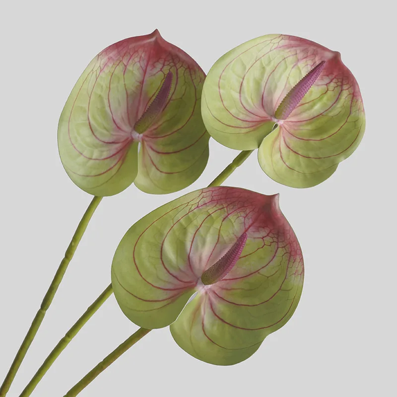 Simulated Flower Living Room H - 3D Printing Simulator recension och pris