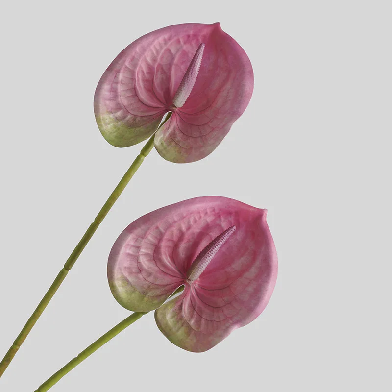Simulated Flower Living Room H - 3D Printing Simulator recension och pris